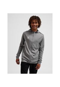 Bluza z kapturem sportowa Hummel Authentic Poly Zip Hoodie. Typ kołnierza: kaptur. Kolor: szary