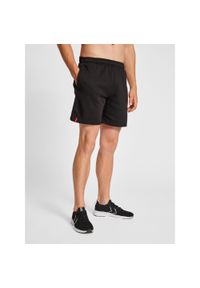 Szorty Hummel Red Basic. Kolor: czarny. Materiał: poliester, bawełna, materiał. Sport: fitness #1