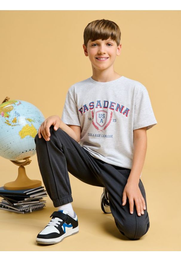 Sinsay - Koszulka - szary. Kolor: szary. Długość rękawa: krótki rękaw. Długość: krótkie. Wzór: nadruk