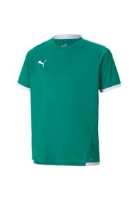 Koszulka dla dzieci Puma teamLIGA Jersey Junior. Kolor: biały, zielony, wielokolorowy. Materiał: jersey #1