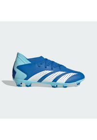 Adidas - Buty Predator Accuracy.3 FG. Kolor: biały, niebieski, wielokolorowy