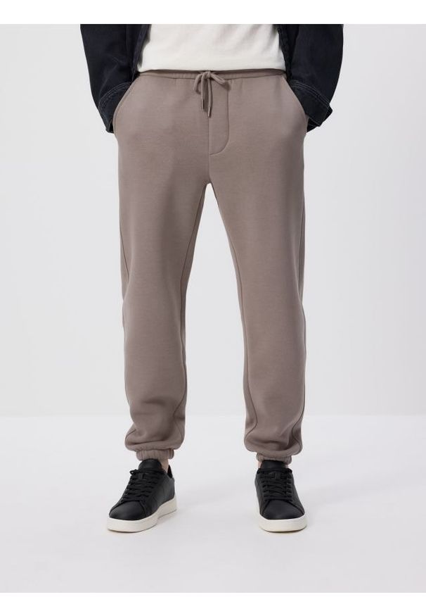 Reserved - Spodnie dresowe regular fit - szary. Kolor: szary. Materiał: dresówka