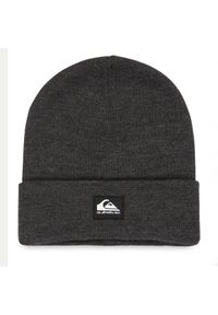 Czapka Quiksilver. Kolor: szary #1