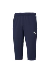 Spodnie męskie Puma teamLIGA Training 3/4 Pants. Kolor: biały, niebieski, wielokolorowy. Sport: piłka nożna, fitness