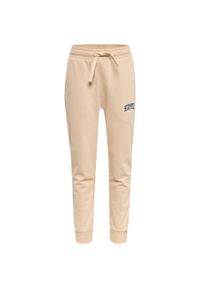Spodnie dresowe dla dzieci Hummel Fast. Kolor: beżowy, zielony, wielokolorowy. Materiał: dresówka. Sport: joga i pilates