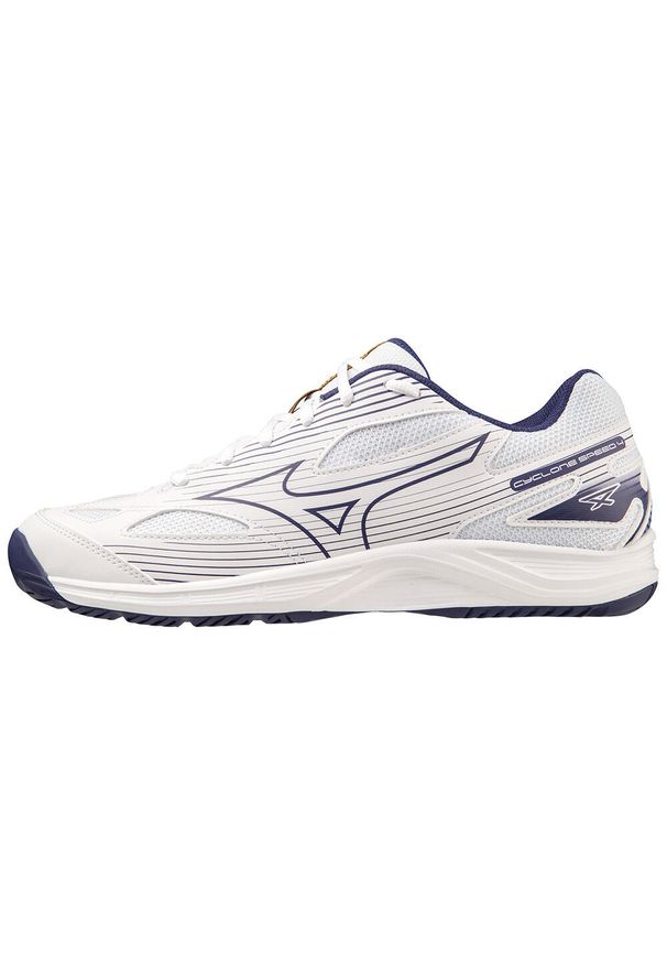 Buty halowe Mizuno Cyclone Speed 3. Kolor: niebieski, biały, wielokolorowy. Materiał: skóra, syntetyk. Sport: piłka ręczna