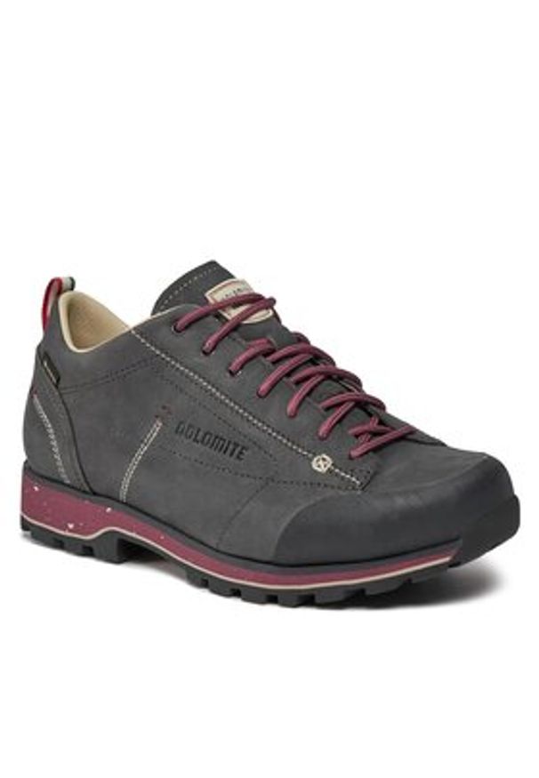 Dolomite Trekkingi W'S 54 Low Fg Evo Gtx GORE-TEX 292534 Szary. Kolor: szary. Materiał: nubuk, skóra