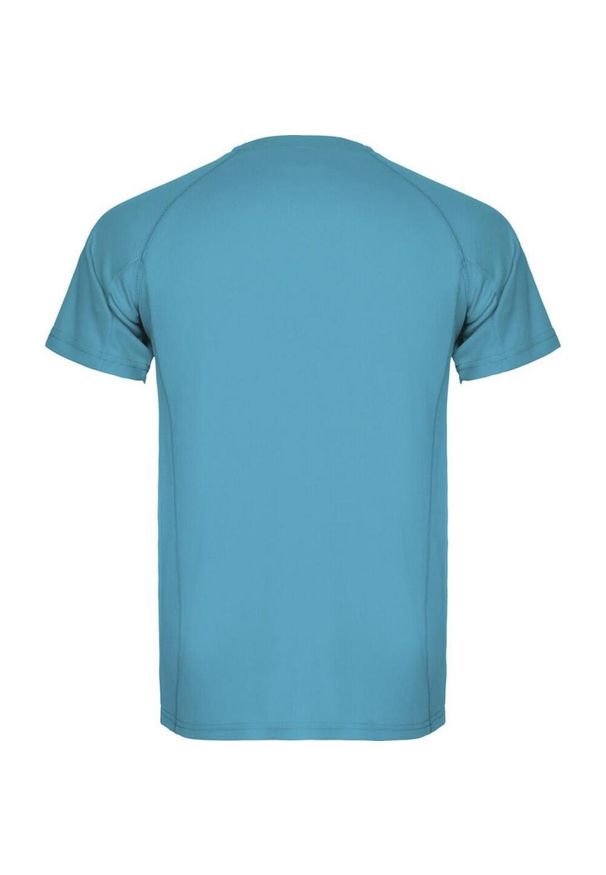 ROLY - Męska Koszulka Sportowa Montecarlo Z Krótkim Rękawem. Kolor: niebieski. Długość rękawa: krótki rękaw. Długość: krótkie. Sport: turystyka piesza