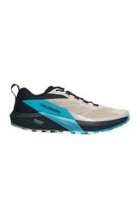 salomon - Buty do biegania męskie Salomon L47458500. Kolor: beżowy, niebieski, wielokolorowy. Materiał: materiał, syntetyk. Szerokość cholewki: normalna