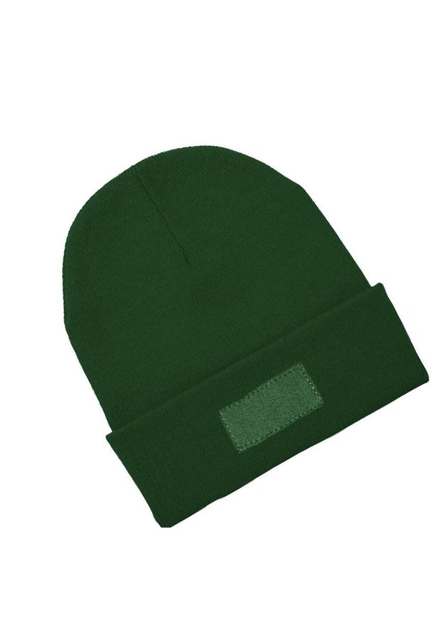 STAMINA - Bulnes Beanie. Kolor: zielony