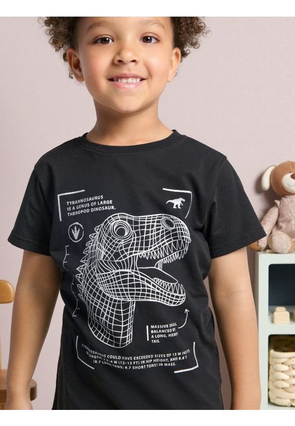 Sinsay - Koszulka z nadrukiem - czarny. Kolor: czarny. Wzór: nadruk