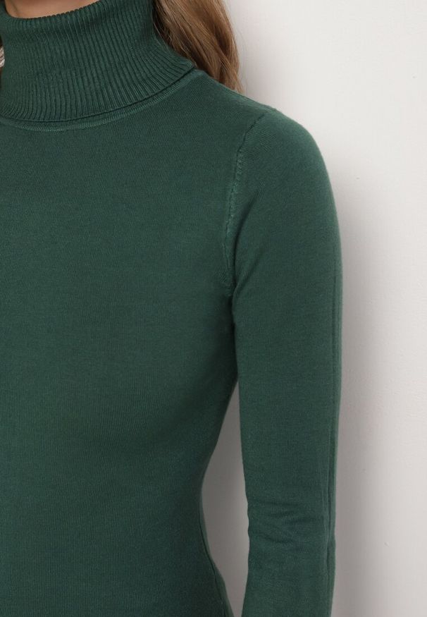 Born2be - Zielony Klasyczny Golf z Modalem i Wiskozą Linnoriela. Okazja: na co dzień. Typ kołnierza: golf. Kolor: zielony. Materiał: wiskoza. Długość rękawa: długi rękaw. Długość: długie. Wzór: bez wzorów. Styl: klasyczny