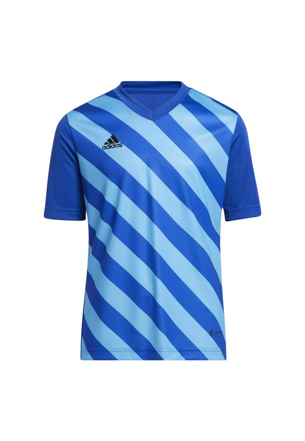 Adidas - Koszulka piłkarska dla dzieci adidas Entrada 22 Graphic Jersey. Kolor: niebieski. Materiał: jersey. Sport: piłka nożna