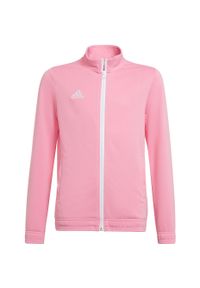 Adidas - Bluza piłkarska dla dzieci adidas Entrada 22 Track Jacket. Kolor: różowy, biały, wielokolorowy. Sport: piłka nożna #1