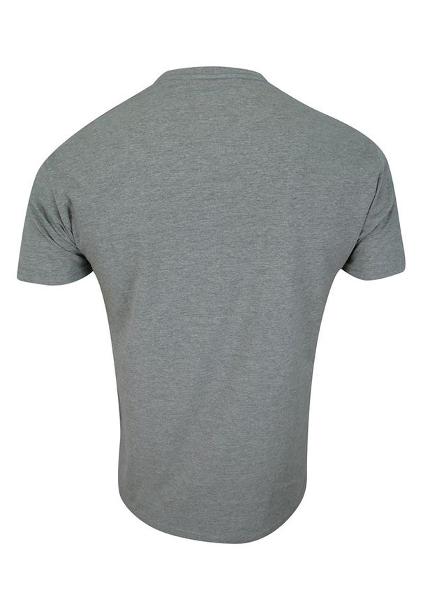 Kings - T-shirt, Szary, BAWEŁNA, U-neck, z Kieszonką, Męski, Krótki Rękaw -KINGS. Okazja: na co dzień. Kolor: szary. Materiał: bawełna, wiskoza. Długość rękawa: krótki rękaw. Długość: krótkie. Styl: casual