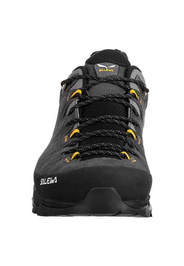 Buty Trekkingowe Męskie Salewa Alp Trainer 2 Gtx. Kolor: czarny, zielony, wielokolorowy, szary. Materiał: guma, zamsz. Sport: turystyka piesza