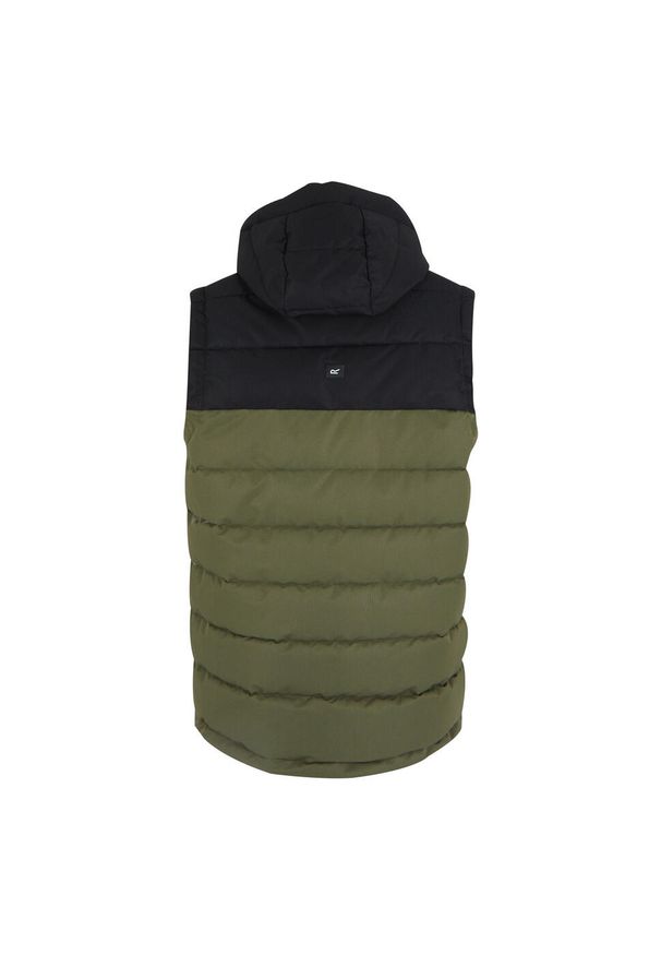 Regatta - Męski Ogrzewacz Do Ciała Aldthorn. Kolor: wielokolorowy, czarny, zielony. Styl: sportowy. Sport: turystyka piesza