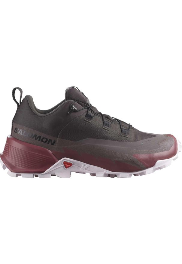 salomon - Buty trekkingowe damskie Salomon Cross Hike 2 Gore-Tex. Kolor: fioletowy