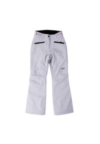Spodnie narciarskie damskie Colourwear Cork. Kolor: fioletowy. Sezon: zima. Sport: narciarstwo