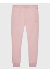 Fila Spodnie dresowe Bagod FAT0200 Różowy Regular Fit. Kolor: różowy. Materiał: syntetyk