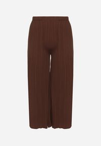 Born2be - Brązowe Szerokie Spodnie z Plisowanej Tkaniny z Gumką w Pasie Cesele. Kolekcja: plus size. Kolor: brązowy. Materiał: tkanina. Styl: elegancki #4