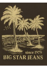 Big-Star - Koszulka męska z kontrastowym nadrukiem khaki Omer 303. Kolor: zielony. Materiał: materiał, bawełna, skóra, dzianina. Wzór: nadruk. Styl: militarny, elegancki, klasyczny, vintage #2