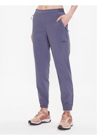 Jack Wolfskin Spodnie outdoor Prelight 1508111 Szary Regular Fit. Kolor: szary. Materiał: syntetyk. Sport: outdoor #1