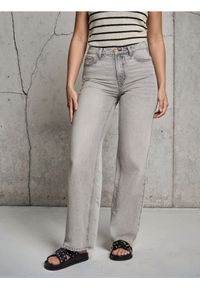 Sinsay - Jeansy wide leg z wysokim stanem - szary. Stan: podwyższony. Kolor: szary #1