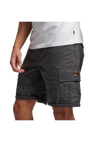 Spodenki męskie Superdry Vintage Heavy Cargo bojówki szare bawełniane. Kolor: szary. Materiał: bawełna. Sport: turystyka piesza #1