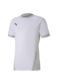 Koszulka męska Puma teamGOAL 23 Jersey. Kolor: biały, szary, wielokolorowy. Materiał: jersey