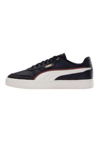Puma - Męskie Skórzane Buty Treningowe Caven Dime FC. Kolor: czarny. Materiał: skóra. Sport: turystyka piesza