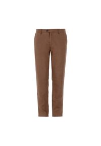 Ochnik - Brązowe lniane spodnie męskie. Kolor: brązowy. Materiał: len #2