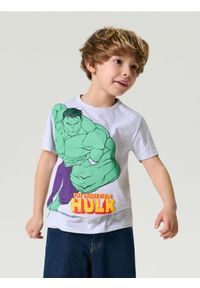 Sinsay - Bawełniana koszulka z nadrukiem Hulk - szary. Kolor: szary. Materiał: bawełna. Wzór: nadruk #1