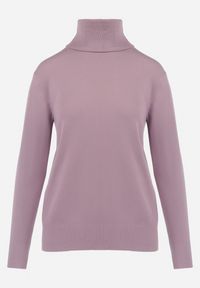 Born2be - Różowy Sweter z Golfem Sazerna w Składzie Wiskoza i Modal. Typ kołnierza: golf. Kolor: różowy. Materiał: wiskoza. Długość rękawa: długi rękaw. Długość: długie. Wzór: gładki. Sezon: zima, jesień