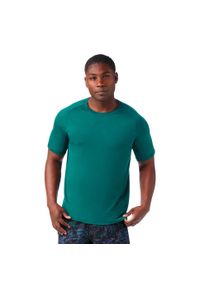 Koszulka Smartwool Active Ultralite. Kolor: zielony. Sport: turystyka piesza #2