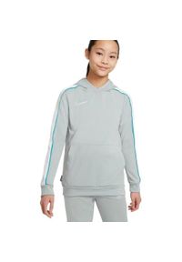 Bluza dla dzieci Nike NK Dry Academy Hoodie Po Fp JB szara CZ0970 019. Kolor: wielokolorowy