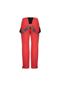 Spodnie dziecięce narciarskie CMP 3W15994. Kolor: czerwony, beżowy, wielokolorowy, czarny. Sezon: zima. Sport: narciarstwo #2