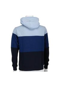 Bluza sportowa chłopięca Champion American Classic 3. Typ kołnierza: kaptur. Kolor: wielokolorowy. Styl: sportowy