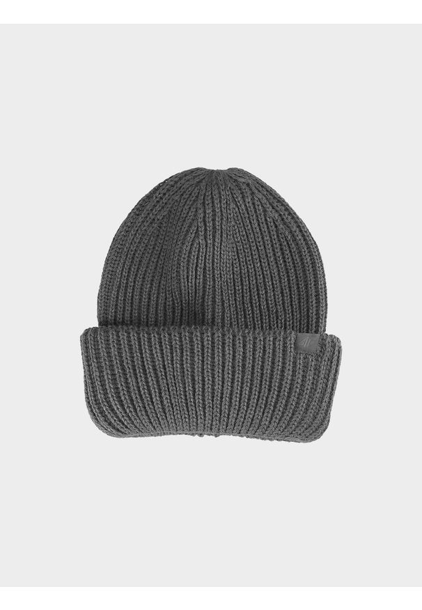 4f - 4F Czapka zimowa męska L. Kolor: szary. Sezon: zima