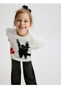 Reserved - Sweter z aplikacją - wielobarwny. Materiał: wiskoza, dzianina. Wzór: aplikacja