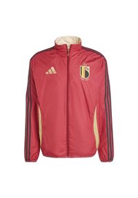 Adidas - Bluza Belgium Anthem. Kolor: wielokolorowy, brązowy, czerwony, beżowy. Materiał: materiał