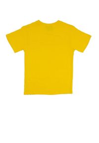 LEONE 1947 APPAREL - Dziecięca koszulka Leone z krótkim rękawkiem College. Kolor: żółty. Długość rękawa: krótki rękaw. Długość: krótkie. Sport: joga i pilates