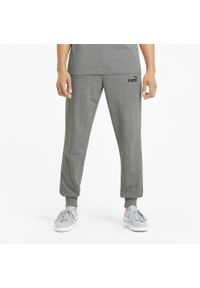Spodnie Puma Essentials Logo, Mężczyźni. Kolor: szary. Materiał: bawełna, materiał