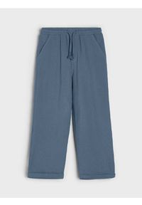 Sinsay - Jeansy straight leg - indigo jeans #1