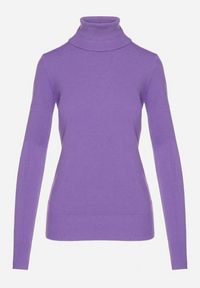 Born2be - Fioletowy Golf Sweter z Wiskozą i Kaszmirem Zailaya. Okazja: na co dzień. Typ kołnierza: golf. Kolor: fioletowy. Materiał: wiskoza, kaszmir. Styl: casual #4