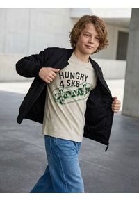 Sinsay - Bawełniana koszulka z nadrukiem - szary. Kolor: szary. Materiał: bawełna. Wzór: nadruk #1