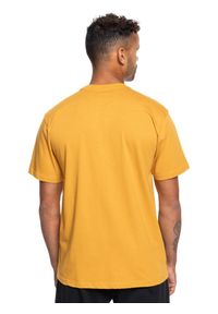 Quiksilver - Koszulka z krótkim rękawem dla Mężczyzn CIRCLE LOGO Żółty. Kolor: brązowy, wielokolorowy, żółty. Materiał: materiał, bawełna. Długość rękawa: krótki rękaw. Długość: krótkie. Wzór: nadruk