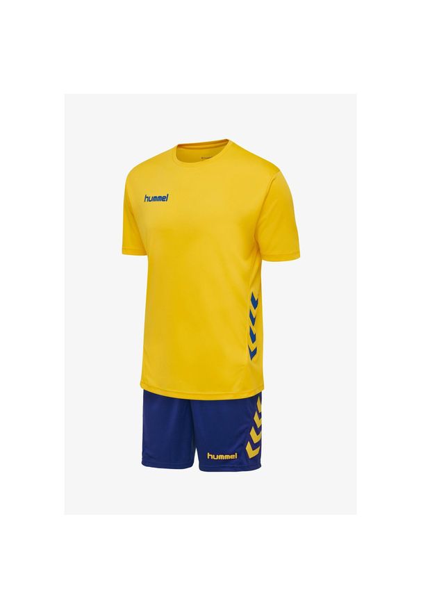 Zestaw piłkarski dla dorosłych Hummel Promo Duo Set. Kolor: niebieski, wielokolorowy, żółty. Sport: piłka nożna