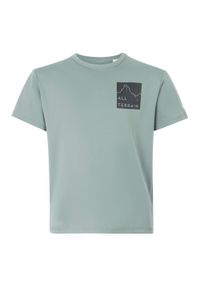 Regatta - T-shirt Dziecięca Z Górą Alvarado IX. Kolor: szary