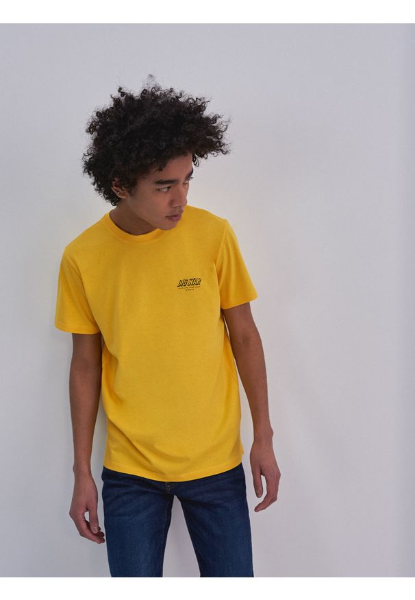 Big-Star - Koszulka męska z nadrukiem żółta Omaran 201. Kolor: żółty. Materiał: bawełna. Wzór: nadruk
